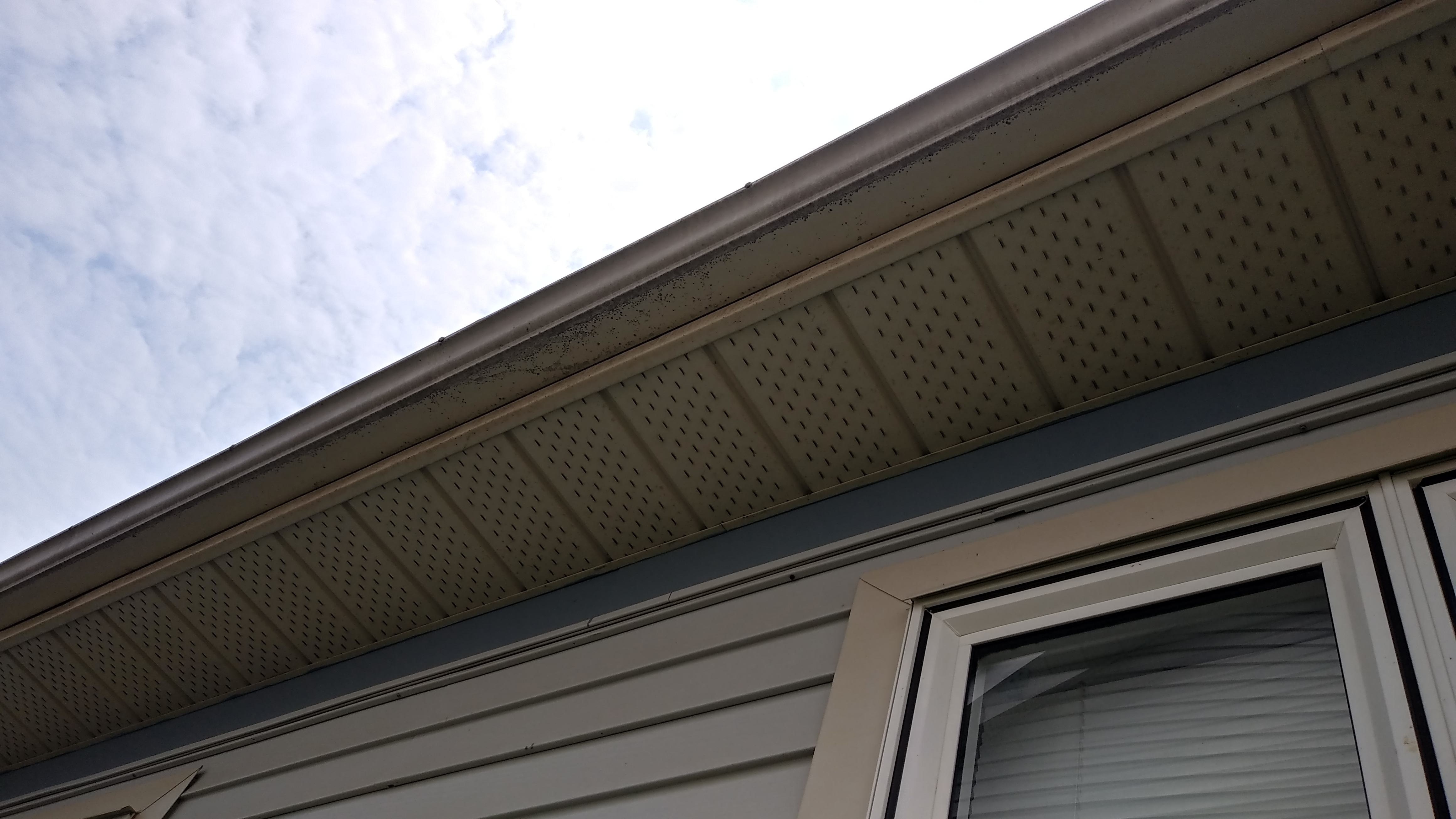 Whitby pressure washing gutters